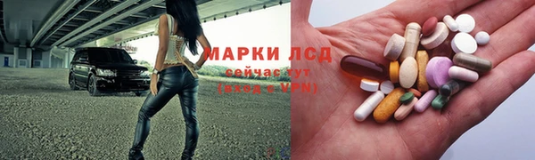 СК Богородск