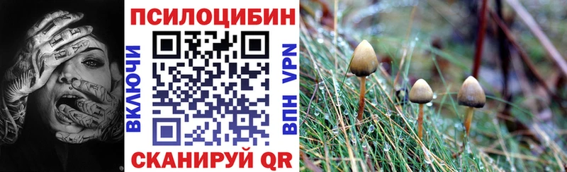 МЕГА   купить наркотик  Грязовец  Галлюциногенные грибы мицелий 